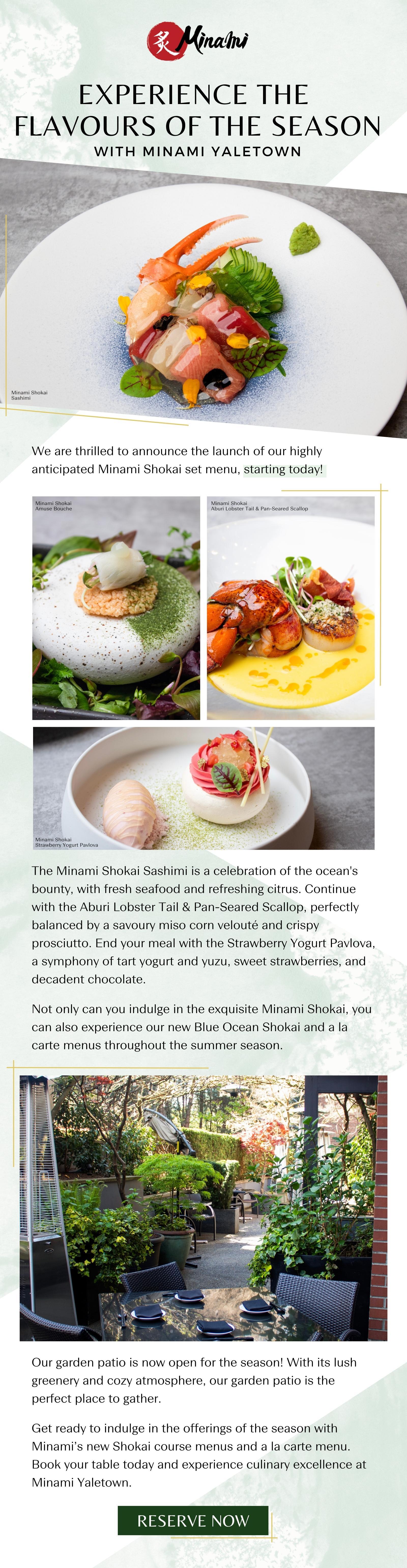 Minami spring menu and patio email newsletter